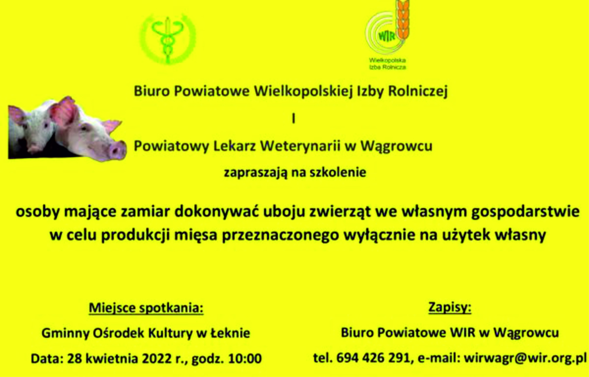 szkolenie (link otworzy duże zdjęcie)