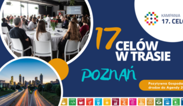 17 celów