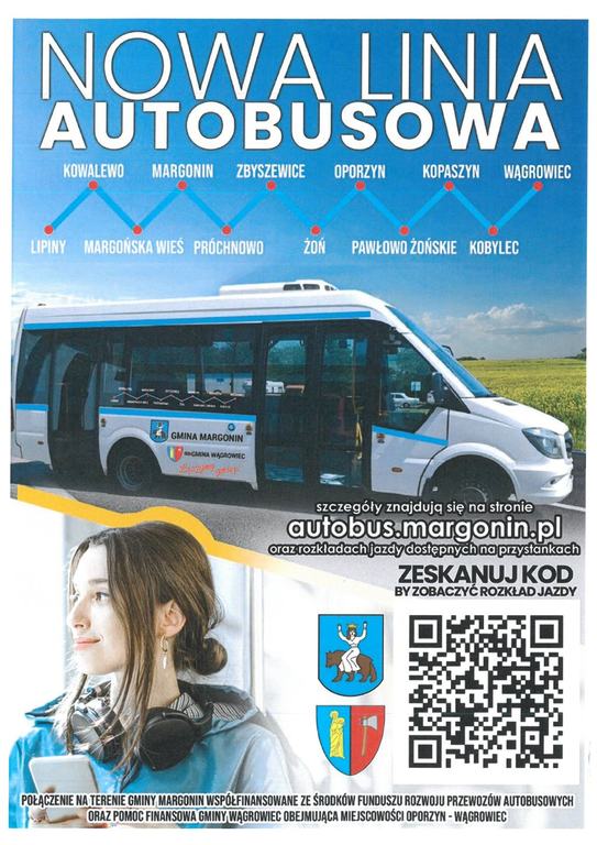linia (link otworzy duże zdjęcie)