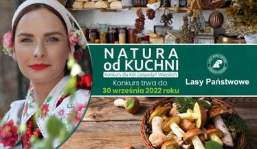 konkurs
