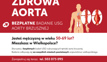 zdrowa aorta