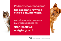  (link otworzy duże zdjęcie)