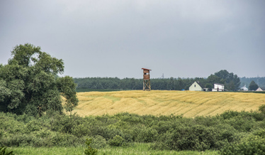 konkurs