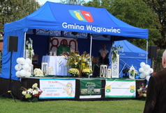 (link otworzy duże zdjęcie)