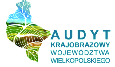 audyt