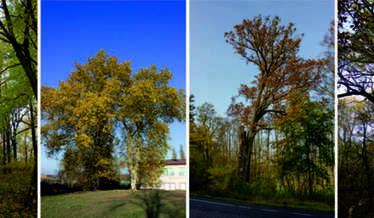 Czytaj więcej