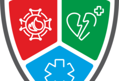  (link otworzy duże zdjęcie)
