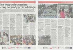artykuł (link otworzy duże zdjęcie)