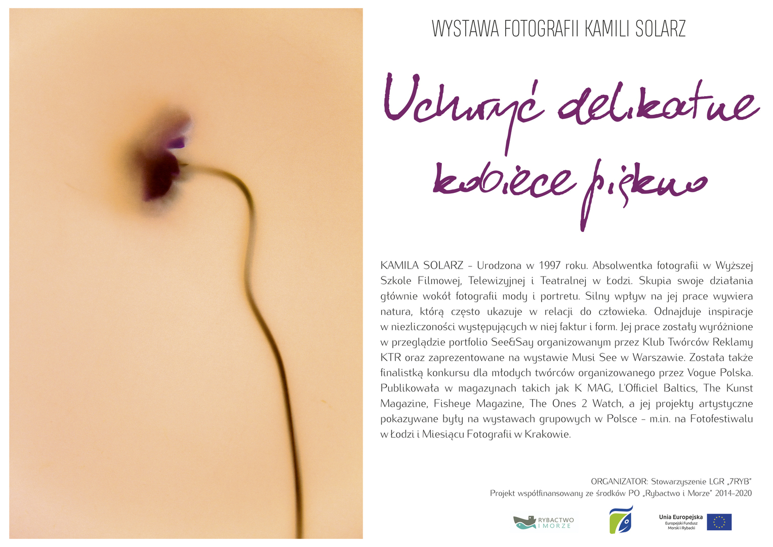 plakat (link otworzy duże zdjęcie)