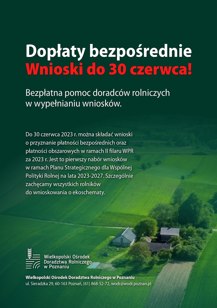 (link otworzy duże zdjęcie)