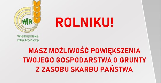 (link otworzy duże zdjęcie)