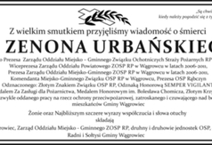  (link otworzy duże zdjęcie)