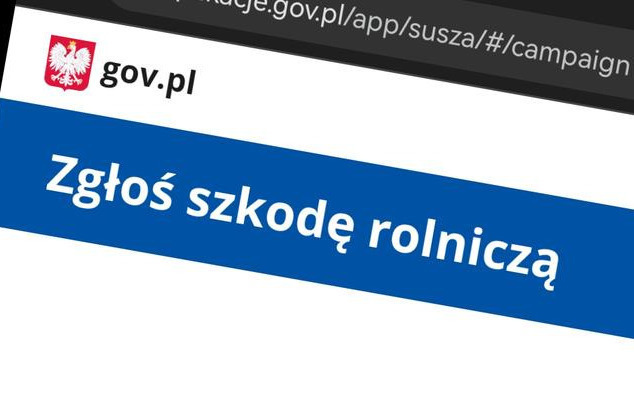 (link otworzy duże zdjęcie)