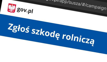 Czytaj więcej
