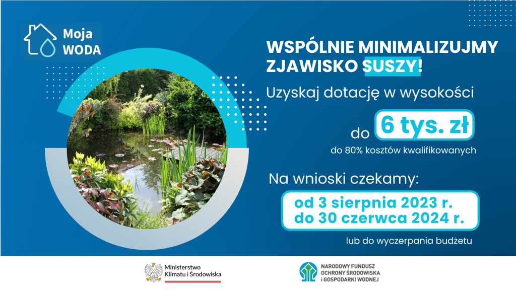 program (link otworzy duże zdjęcie)