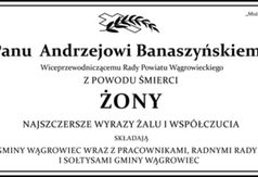 (link otworzy duże zdjęcie)