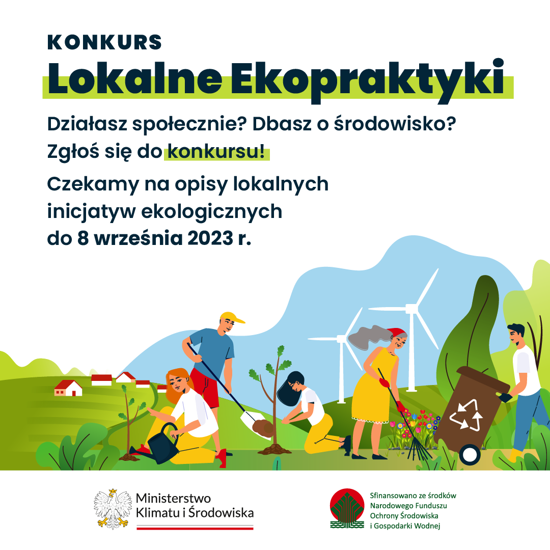 (link otworzy duże zdjęcie)