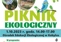  (link otworzy duże zdjęcie)