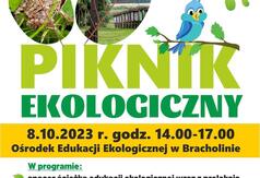  (link otworzy duże zdjęcie)