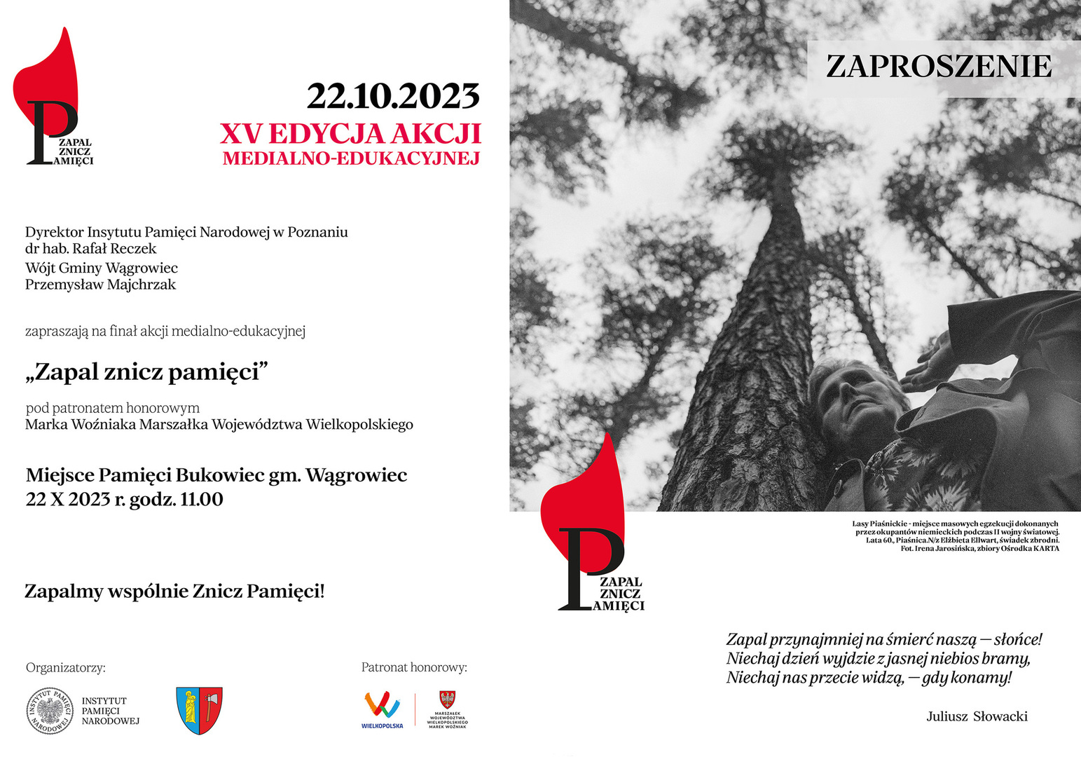Bukowiec (link otworzy duże zdjęcie)