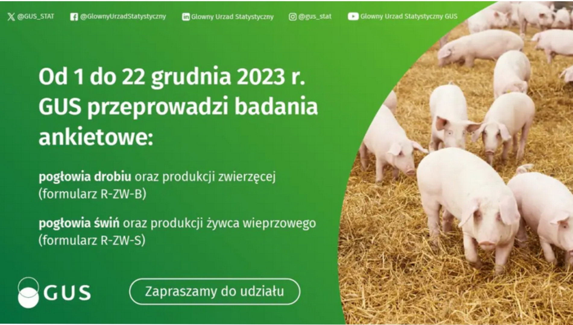 informacja o badaniu (link otworzy duże zdjęcie)