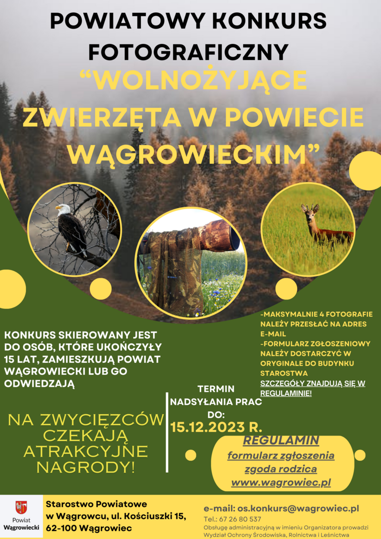 plakat (link otworzy duże zdjęcie)