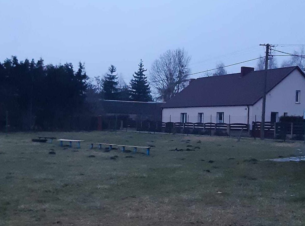 Bartodzieje (link otworzy duże zdjęcie)