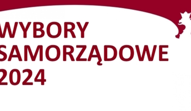 wybory