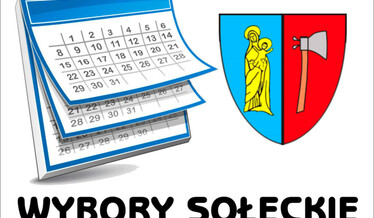 wybory