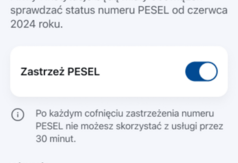  (link otworzy duże zdjęcie)