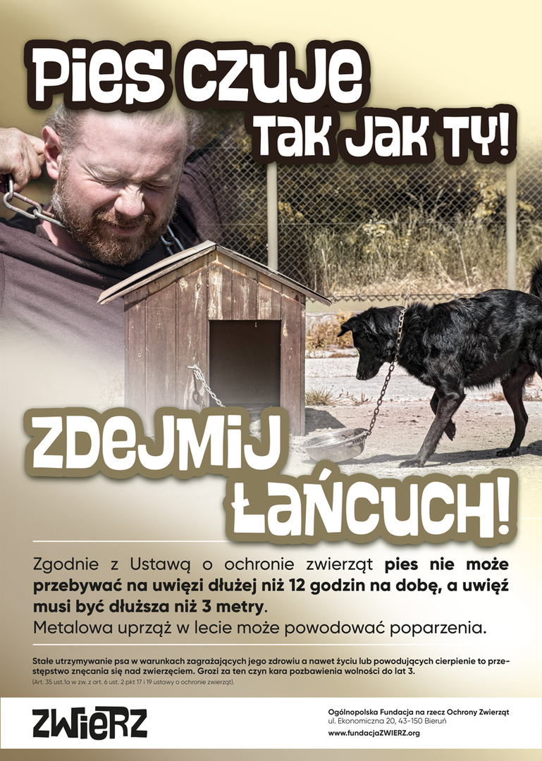 (link otworzy duże zdjęcie)
