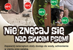  (link otworzy duże zdjęcie)