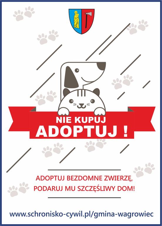 adopcja (link otworzy duże zdjęcie)
