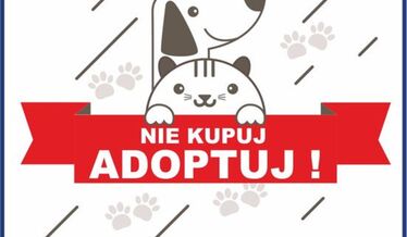 adopcja
