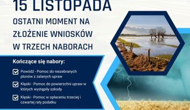 komunikat o naborze
