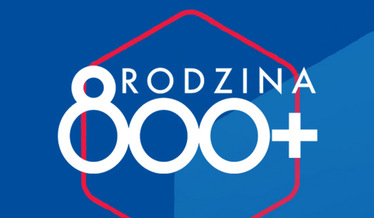 800+ LOGO