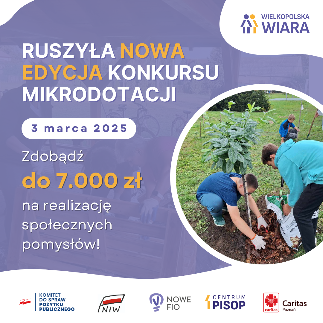 mikrodotacje (link otworzy duże zdjęcie)