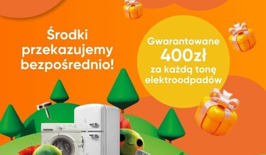 czyste sołectwo