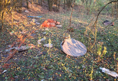 Bukowiec (link otworzy duże zdjęcie)