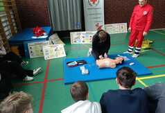  (link otworzy duże zdjęcie)