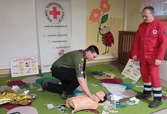  (link otworzy duże zdjęcie)