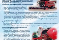  (link otworzy duże zdjęcie)