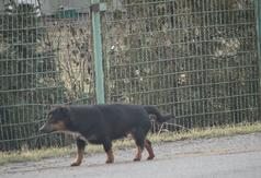  (link otworzy duże zdjęcie)
