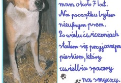 GW138a Autor Oliwia Nowaczewska (link otworzy duże zdjęcie)