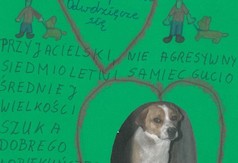 GW138b Autor Paulina Westfal (link otworzy duże zdjęcie)