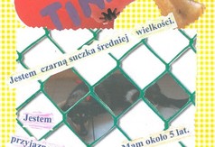 GW93 Autor Jakub Jarecki (link otworzy duże zdjęcie)