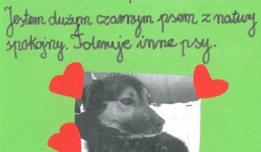 GW67 Autor Martyna Kociszewska