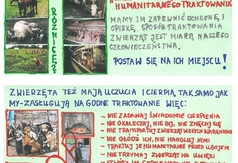  (link otworzy duże zdjęcie)