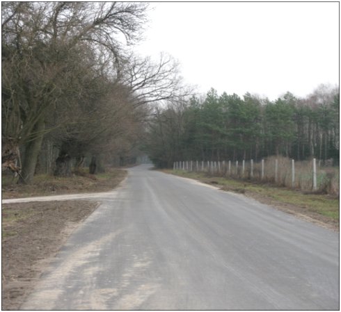 (link otworzy duże zdjęcie)