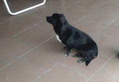  (link otworzy duże zdjęcie)